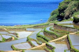 田舎街がインバウンド需要を取り込む戦略