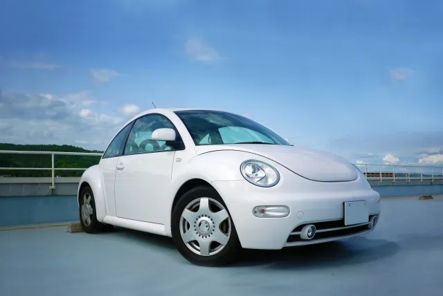 ニュービートル